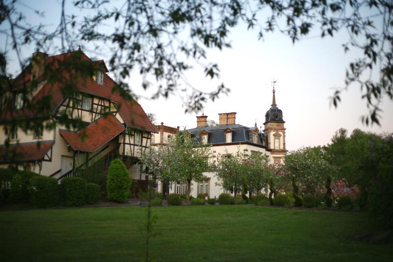 Hotel Chateau De L'Ile Ostwald Buitenkant foto